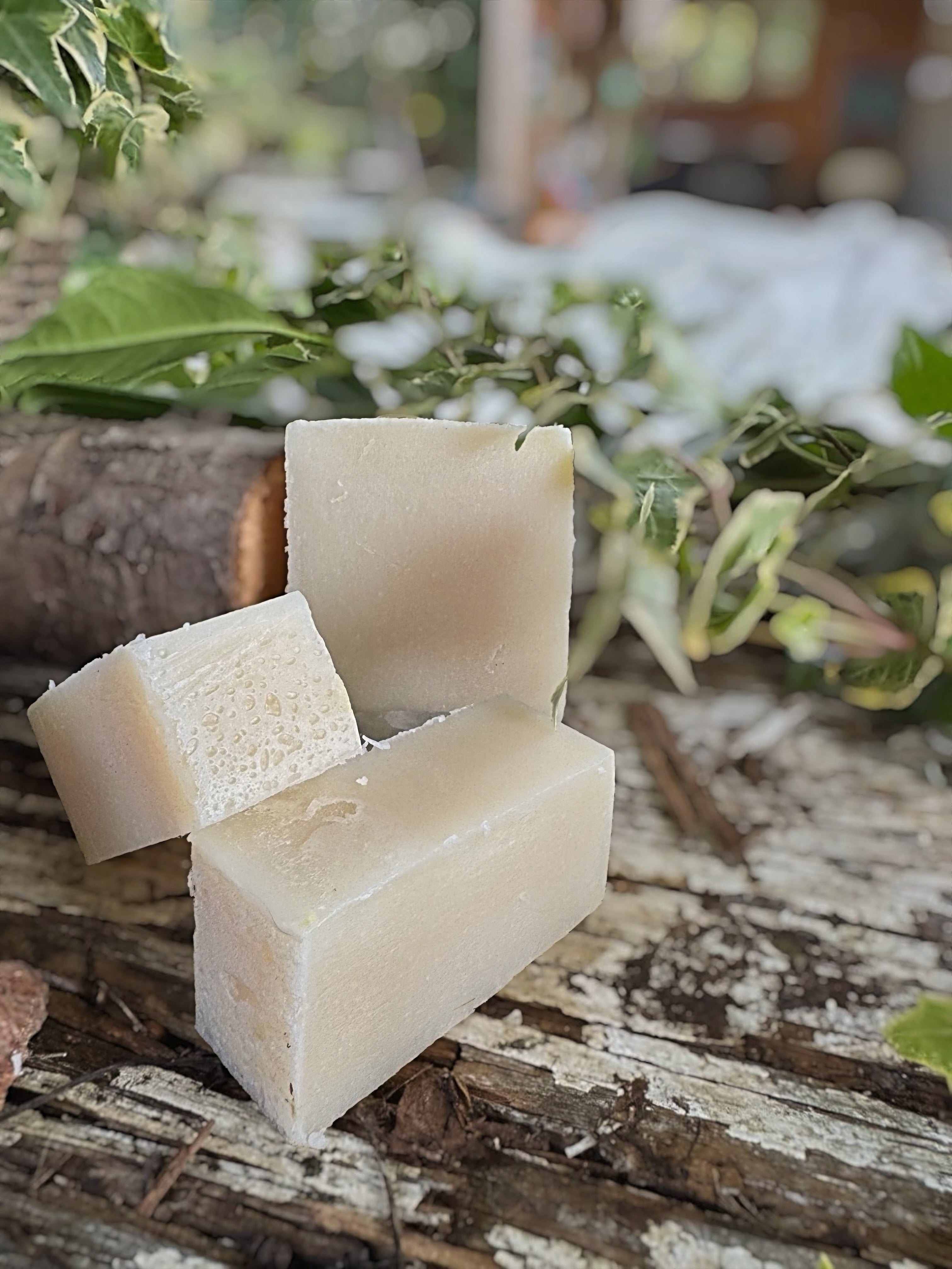 Teebaumölseife – Frische & Reinigung für Haut & Sinne 🌿